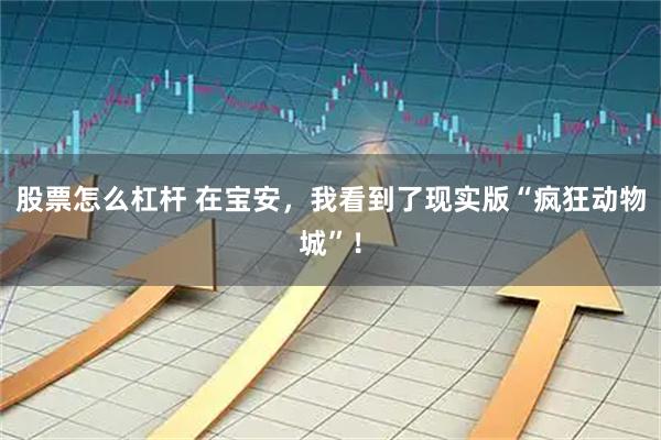 股票怎么杠杆 在宝安，我看到了现实版“疯狂动物城”！