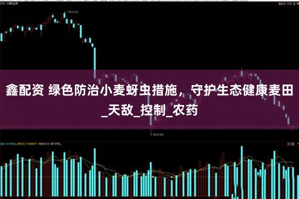 鑫配资 绿色防治小麦蚜虫措施，守护生态健康麦田_天敌_控制_农药